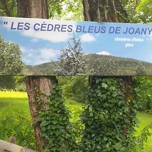 Les Cèdres Bleus De Joany Viviez